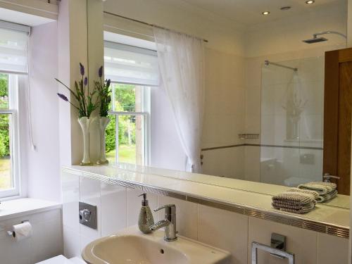 bagno con lavandino e specchio di Ladybird Cottage a Lochend