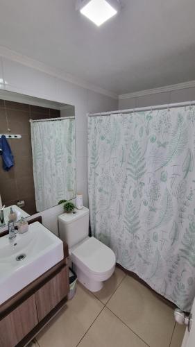 a bathroom with a toilet and a sink and a shower curtain at Departamento Marina Horizonte II in Coquimbo