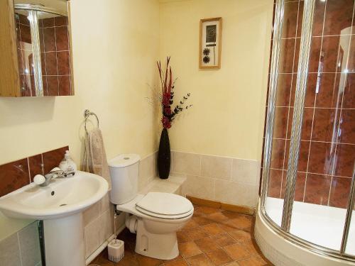 een badkamer met een toilet, een wastafel en een douche bij St Andrews Barn in Necton