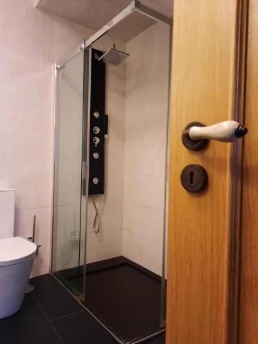 een douche met een glazen deur in de badkamer bij Casa da Eira de Cima in Chão Sobral