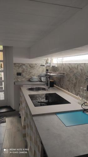 una cucina con lavandino e piano di lavoro di La Nina a Camogli