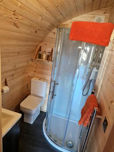 a bathroom with a shower and a toilet at deer green place in Kinloch