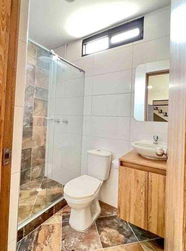 a bathroom with a toilet and a shower and a sink at 201S Apartamento de ensueño in Vallecito