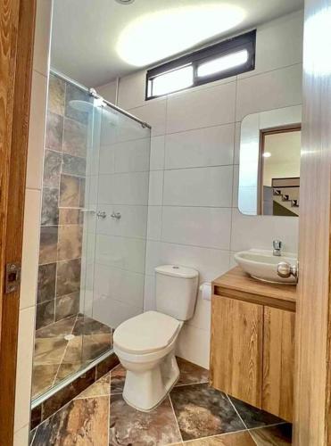 a bathroom with a toilet and a shower and a sink at 201S Apartamento de ensueño in Vallecito