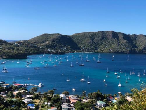a group of boats in a bay with mountains at Destiny Le Rêve Bleu et la Mer in Bequia