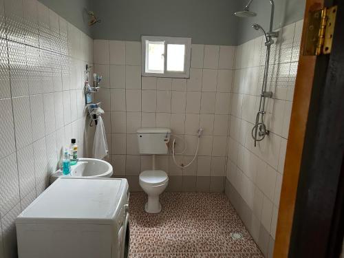 ein Bad mit einem WC, einem Waschbecken und einer Dusche in der Unterkunft Star Lodge 