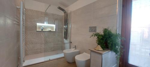 a bathroom with a shower and a toilet and a sink at Sweet Home Simona in Zambrone