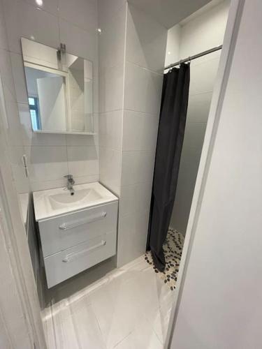 a bathroom with a sink and a mirror and a shower at Appart à deux pas de paris expo in Vanves