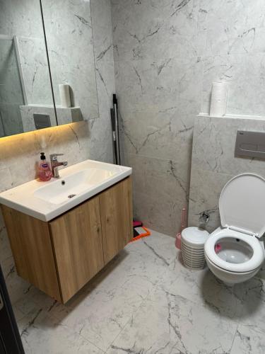 a bathroom with a sink and a toilet and a mirror at Fascinating 1 bedroom with pool view balcony in Antalya