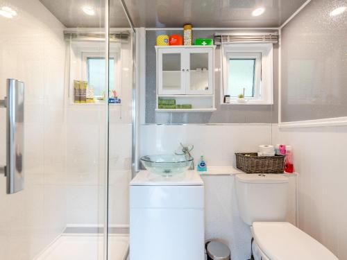 W łazience znajduje się toaleta i przeszklony prysznic. w obiekcie Robins Nest w mieście Llanina
