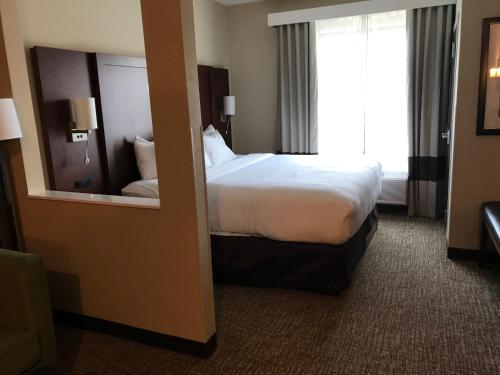 a hotel room with a bed and a mirror at Comfort Suites Summerville North in Summerville