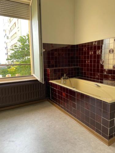 ein Bad mit einer Badewanne und einem Fenster in der Unterkunft APPARTEMENT entier à ARTEM - Proche de Nancy Thermal in Nancy