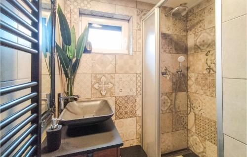 y baño con lavabo y ducha. en Stunning Home In Wolphaartsdijk With Kitchen, en Wolphaartsdijk