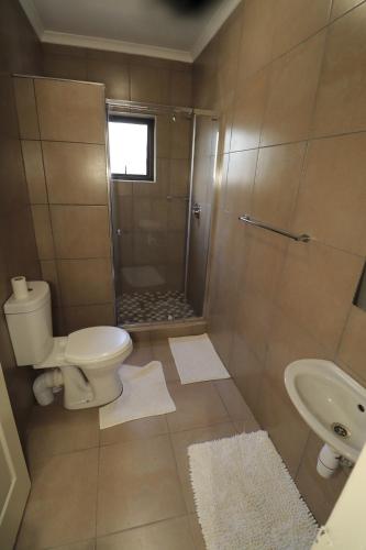 a bathroom with a toilet and a shower and a sink at Casa Decha in Windhoek