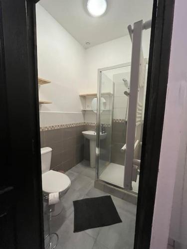Kúpeľňa v ubytovaní appart cosy 2P- proche métro, Lille à 15 min
