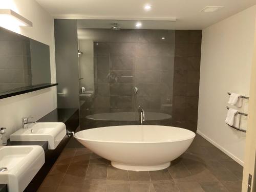 uma casa de banho com uma banheira, um lavatório e um chuveiro em Lakefront View Apartment with Sauna em Wanaka