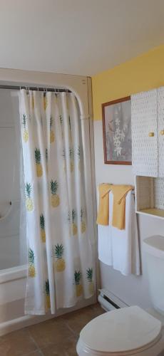 a bathroom with a shower curtain next to a toilet at Mountainview Solitude Inn in Riverside