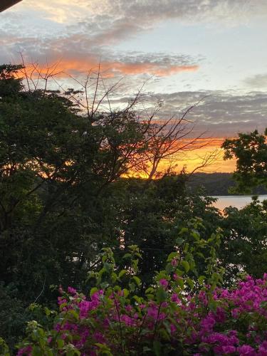 a sunset with pink flowers in front of a body of water at Gone Fishing Panama Resort in Boca Chica