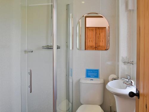 Kirklinton的住宿－Brown Dyke Stables，浴室配有卫生间、盥洗盆和淋浴。