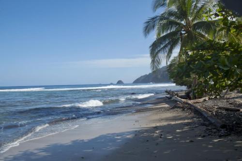 a beach with palm trees and the ocean at Mi casa es tu casa Glamping in Capurganá