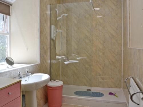 a bathroom with a shower and a sink at Groudd Hall Cottage in Cerrig-y-Druidion