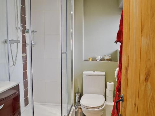 a bathroom with a white toilet and a shower at Walnut Cottage in Sproughton