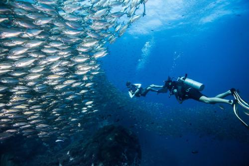 Hosté ubytování Jamahkiri Dive Resort & Spa