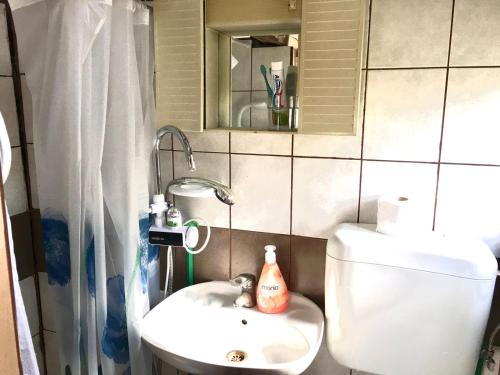 y baño con aseo, lavabo y espejo. en Etno selo Krugerdorf 