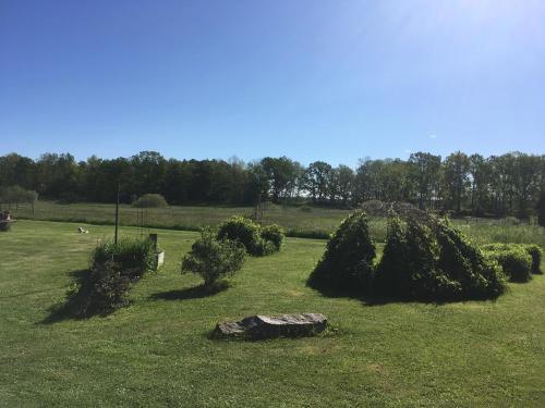 Gallery image of Liten stuga mitt i naturen på Kinnekulle in Hällekis