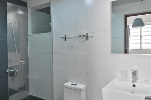 ein Badezimmer mit einem WC, einem Waschbecken und einem Spiegel in der Unterkunft Palmer Suites in Los Prados