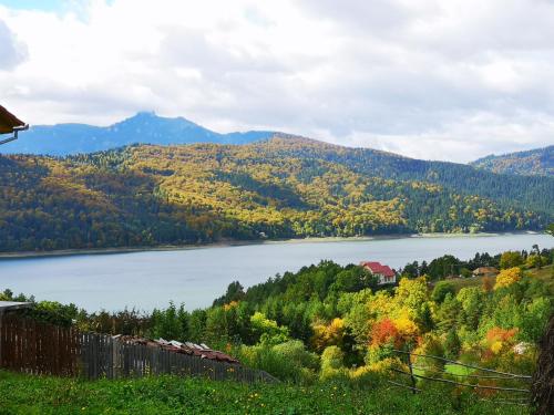 a view of a lake in the mountains at Lake House Anemona in Buhalniţa