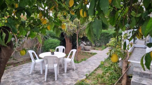 Elpida Lemon Garden House
