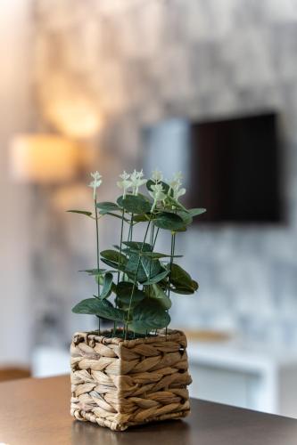 a plant in a basket on a table at Idila Lux in Zlatibor