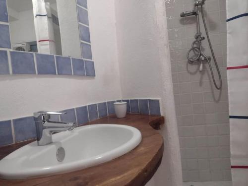 La salle de bains est pourvue d'un lavabo blanc et d'une douche. dans l'établissement Studio Campanule Provence Verdon, à Riez