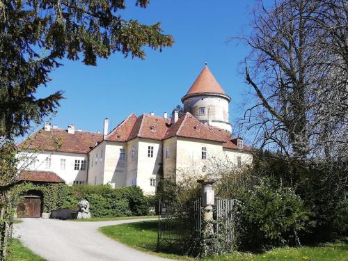 ein altes Schloss mit einem Turm auf einer Straße in der Unterkunft Ferienhaus ZUR ALTEN FORSTKANZLEI in Wald