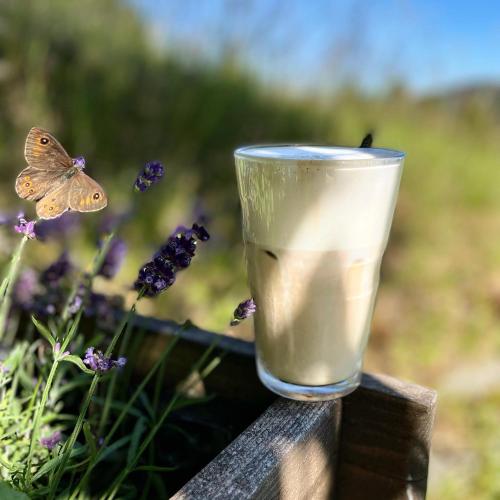Fotografie z fotogalerie ubytování Hotel Děvín v destinaci Pec pod Sněžkou