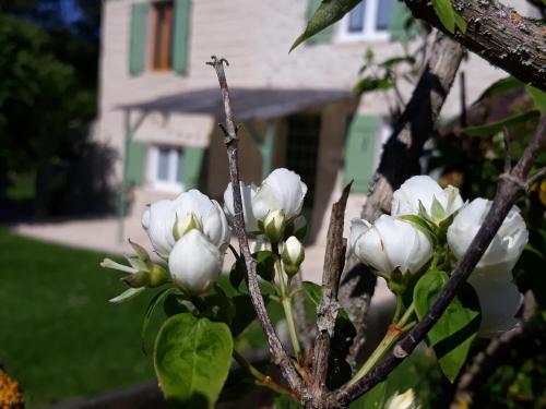 Κήπος έξω από το Gîte des Gravets