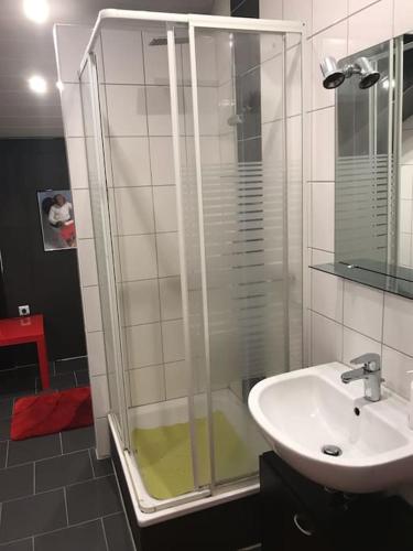 a bathroom with a shower and a sink at Gemütliche Wohnung an der Nordseeküste 3 in Westerholt