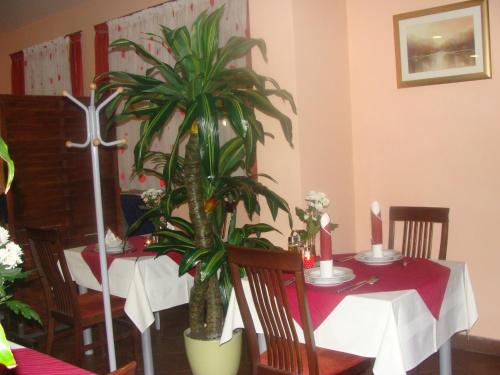 a dining room with a table with a palm tree at Lugarnica in Zagreb