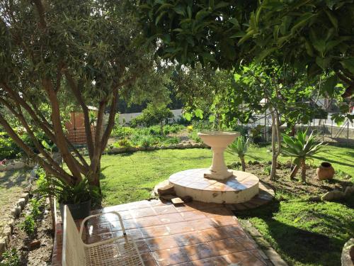 a vase sitting in the middle of a garden at B&B Villa Magna Grecia in Lazzaro