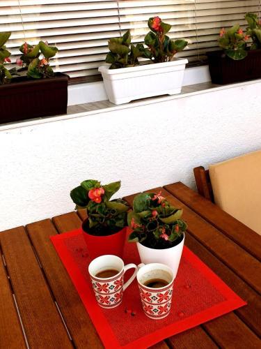 Kaffe- og tefaciliteter på Voska Apartment