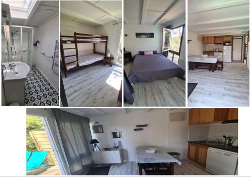 Les fougères A81 Les villages sous les pins LEON 40550