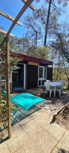 Cette maison dispose d'une terrasse avec une table et une table de pique-nique. dans l'établissement Les fougères A81 Les villages sous les pins LEON 40550, à Léon