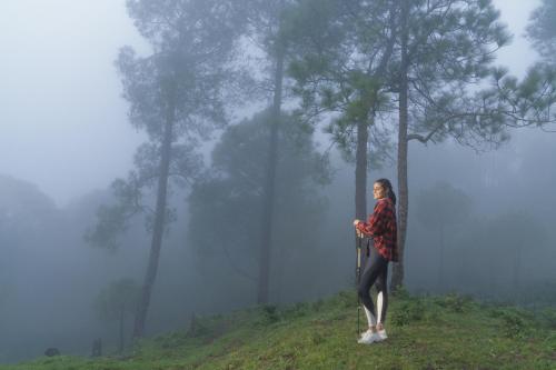 Hosté ubytování Cassia Resort, Kasauli