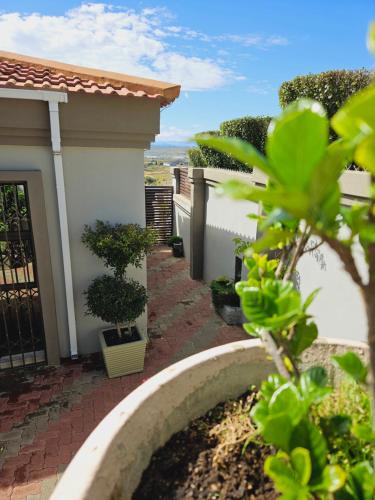 a house with a plant in a yard at Three Stones Executive Apartments in Maseru