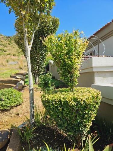 a small tree and bushes next to a building at Three Stones Executive Apartments in Maseru