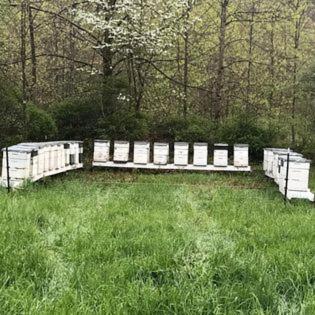 a white fence in the middle of a field at Laurel River Club Bed & Breakfast or LRCBNB in Dryfork