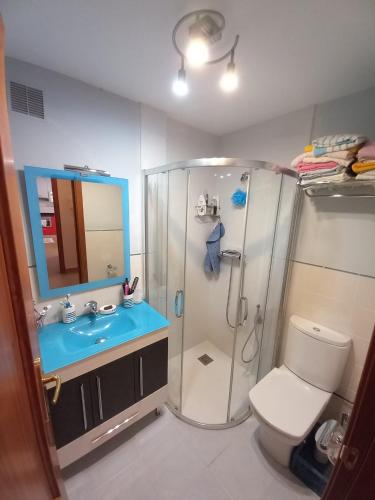 a bathroom with a shower and a sink and a toilet at Apartamento Villa Maritxu in Ezcaray