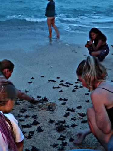 a group of people playing in the sand on the beach at Blue Corals Beach Bungalow in Madihe East