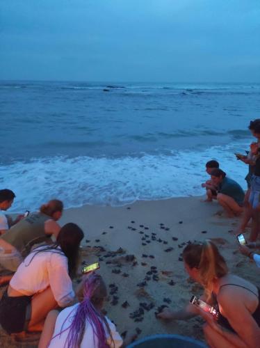 a group of children playing in the sand at the beach at Blue Corals Beach Bungalow in Madihe East